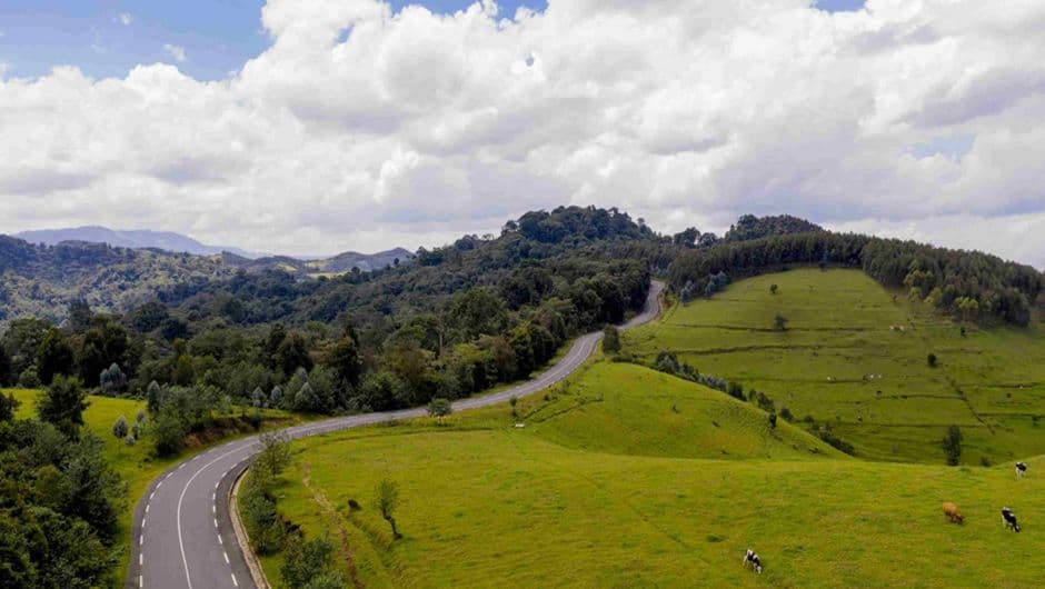 Gishwati-Mukura National Park