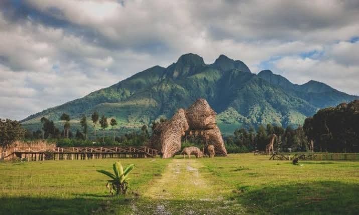 Gorilla trekking, Volcanoes