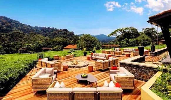 Nyungwe National Park