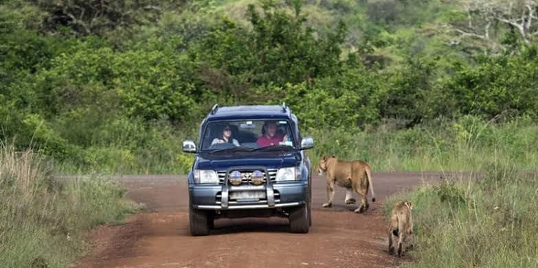 The drive from Kigali to Akagera, hour by hour